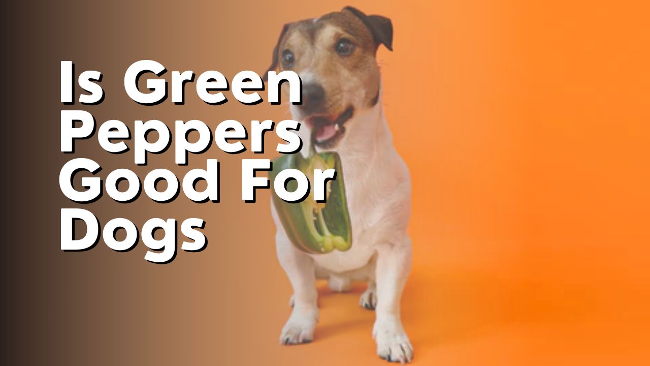 Is Green Peppers Good For Dogs