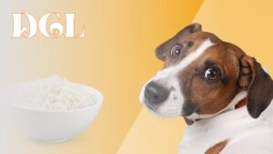 Can Dogs Eat Jasmine Rice For Diarrhea