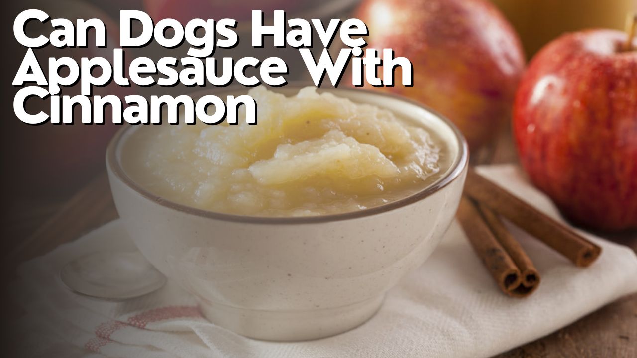 Can Dogs Have Applesauce With Cinnamon