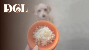 Is Basmati Rice Okay For Dogs