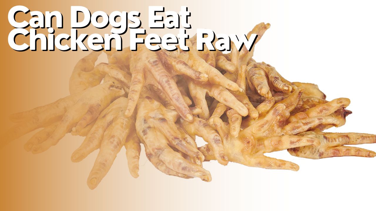 Can Dogs Eat Chicken Feet Raw