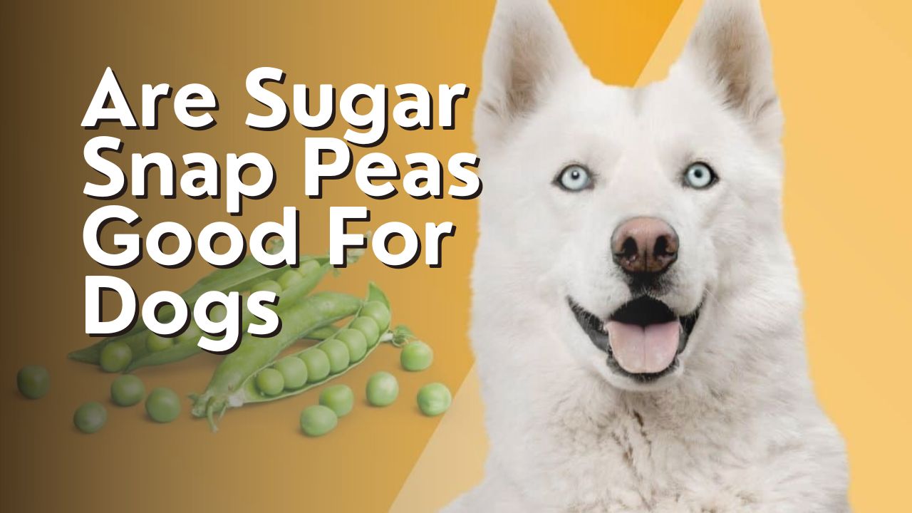 Are Sugar Snap Peas Good For Dogs