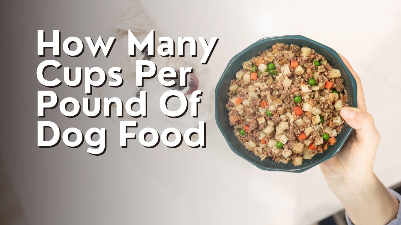 How Many Cups Per Pound Of Dog Food
