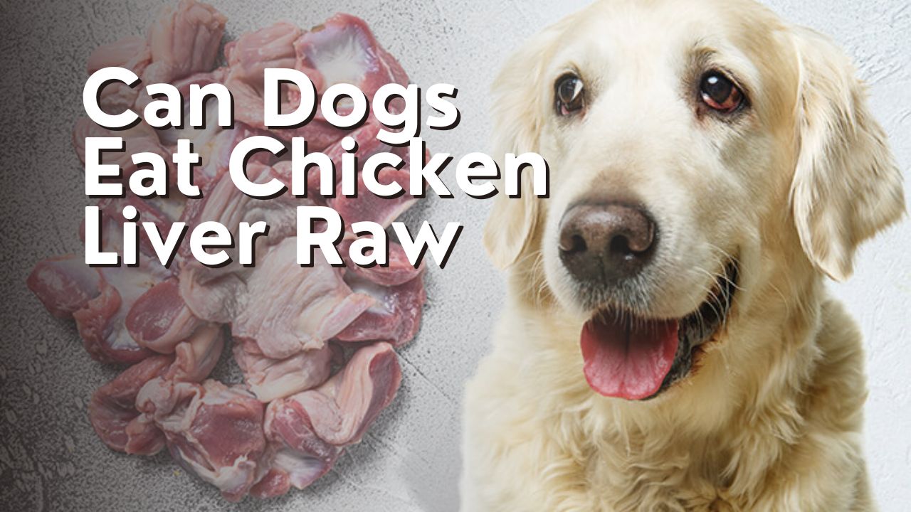 Can Dogs Eat Chicken Liver Raw