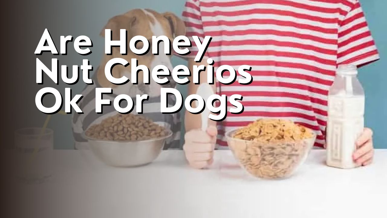Are Honey Nut Cheerios Ok For Dogs