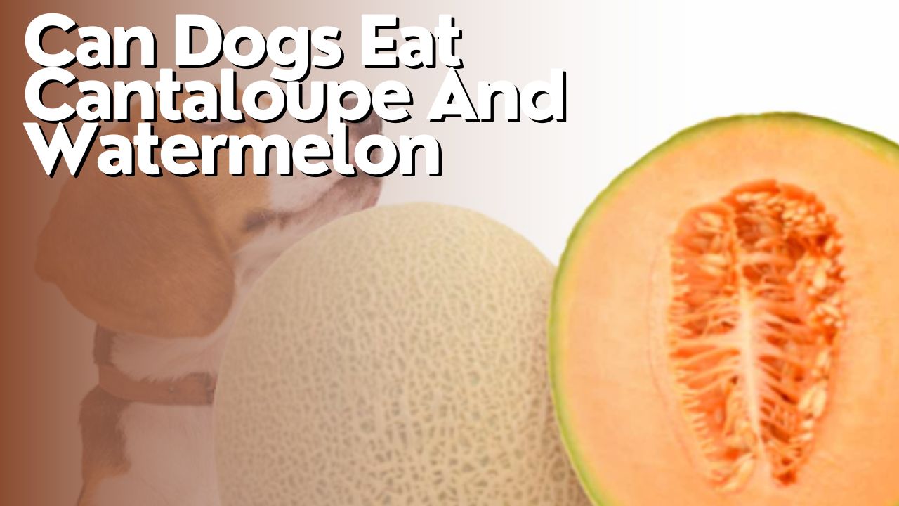 Can Dogs Eat Cantaloupe And Watermelon