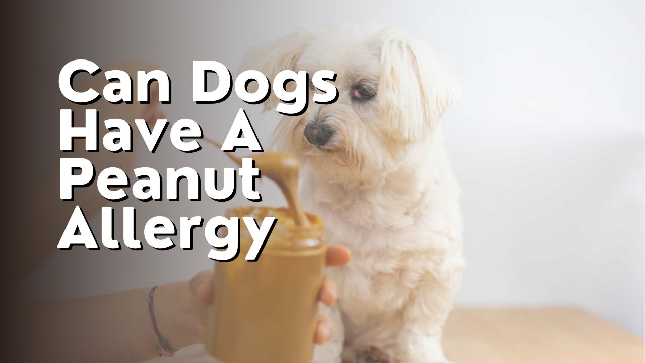Can Dogs Have A Peanut Allergy