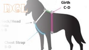 What Is Girth On A Dog