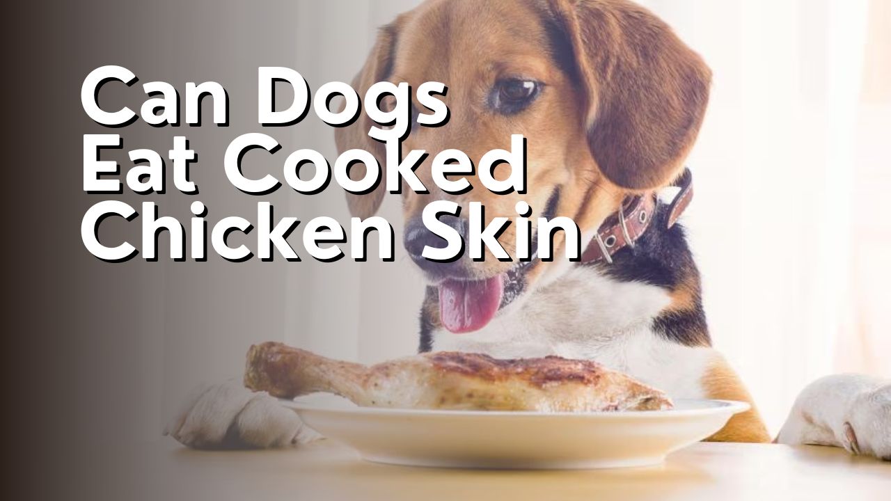 Can Dogs Eat Cooked Chicken Skin