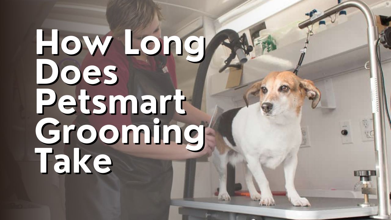 How Long Does Petsmart Grooming Take