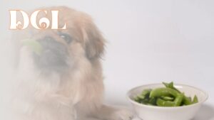 Are Sugar Snap Peas Good For Dogs