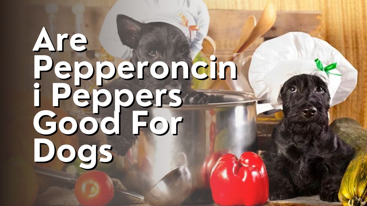 Are Pepperoncini Peppers Good For Dogs