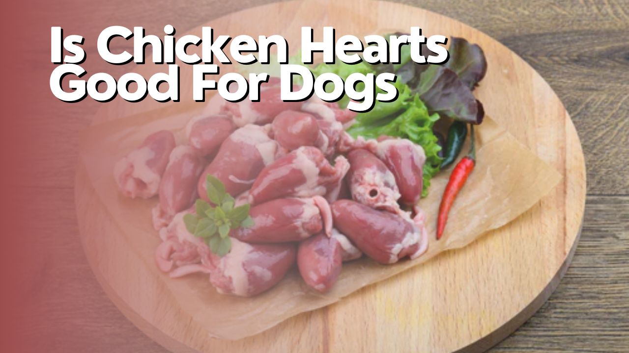 Is Chicken Hearts Good For Dogs