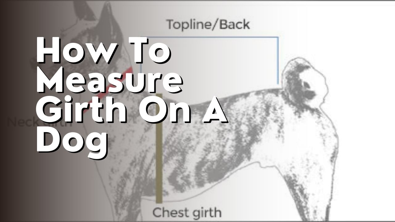How To Measure Girth On A Dog