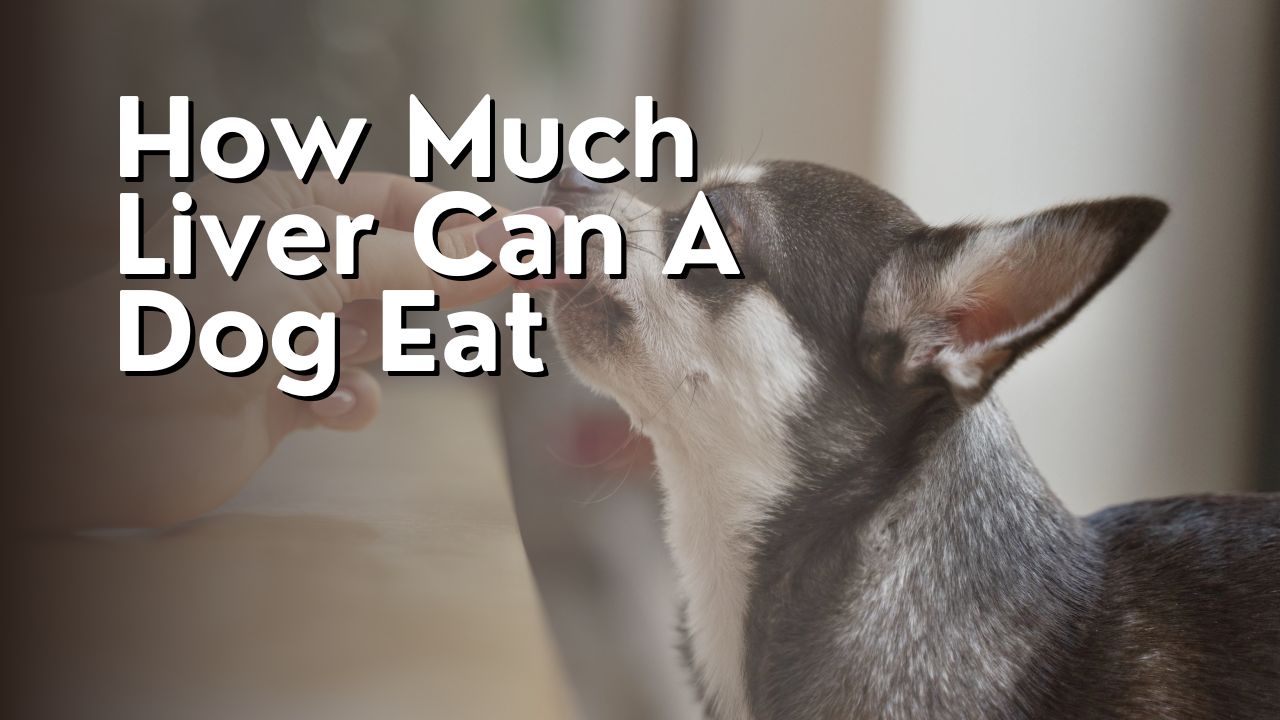 How Much Liver Can A Dog Eat