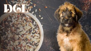 Is Wild Rice Good For Dogs