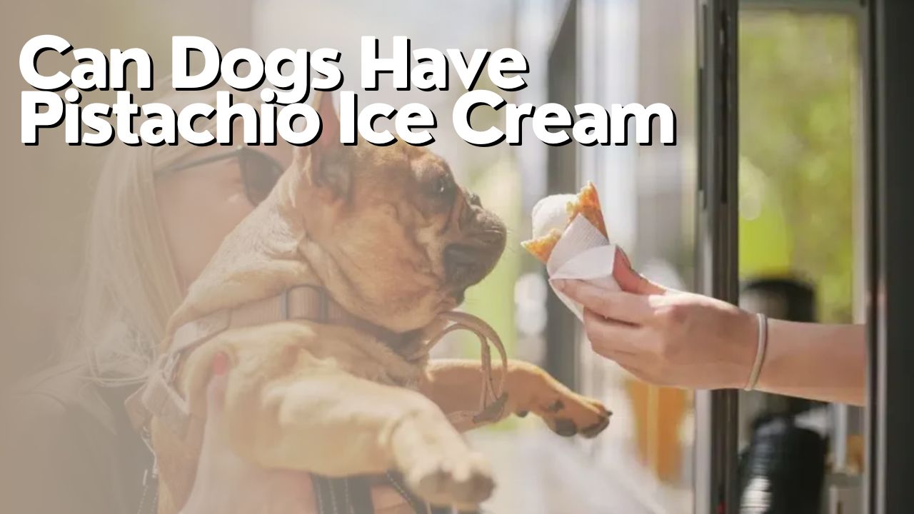 Can Dogs Have Pistachio Ice Cream