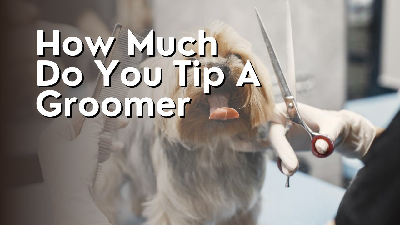 How Much Do You Tip A Groomer
