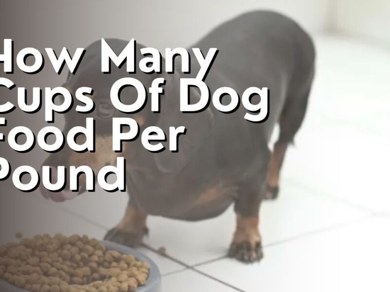 How Many Cups Of Dog Food Per Pound