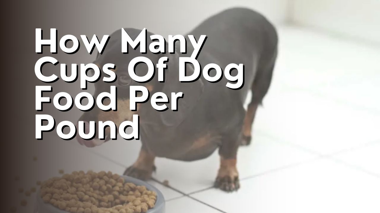 How Many Cups Of Dog Food Per Pound
