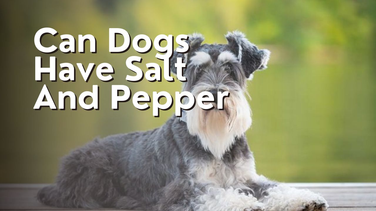 Can Dogs Have Salt And Pepper