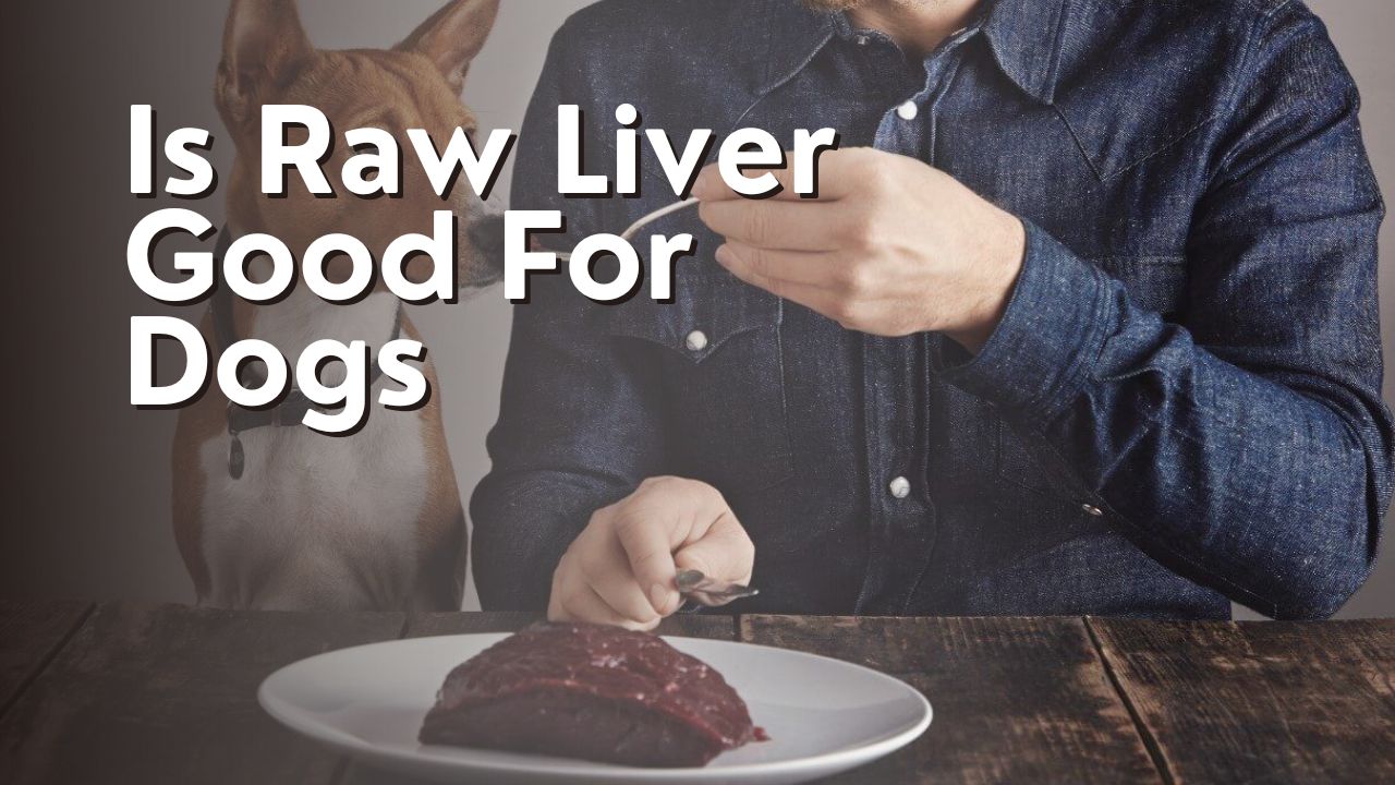 Is Raw Liver Good For Dogs