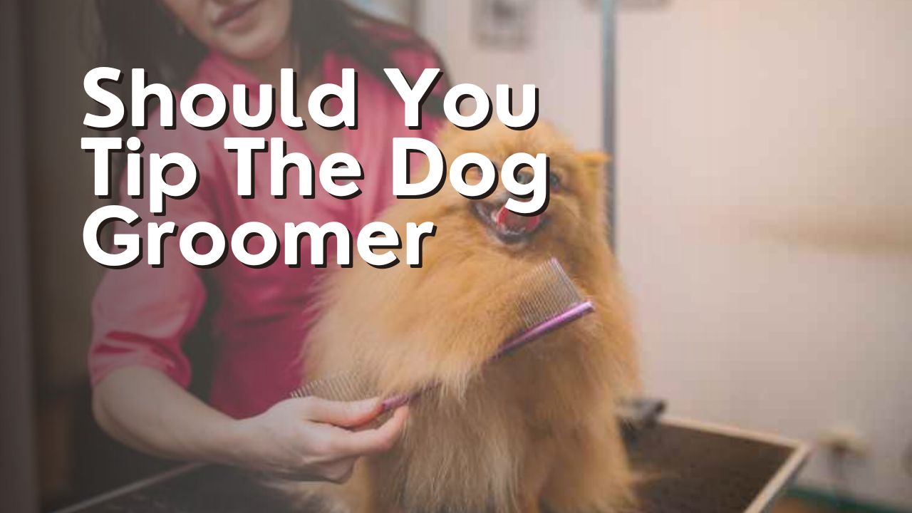 Should You Tip The Dog Groomer