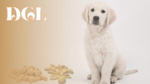 Can Dogs Have A Peanut Allergy