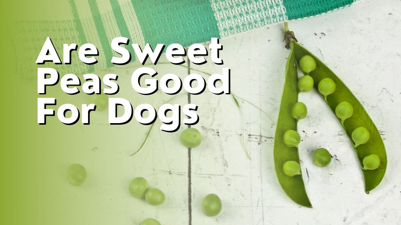 Are Sweet Peas Good For Dogs