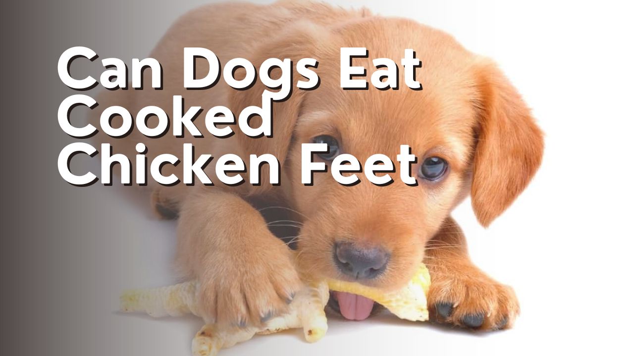Can Dogs Eat Cooked Chicken Feet