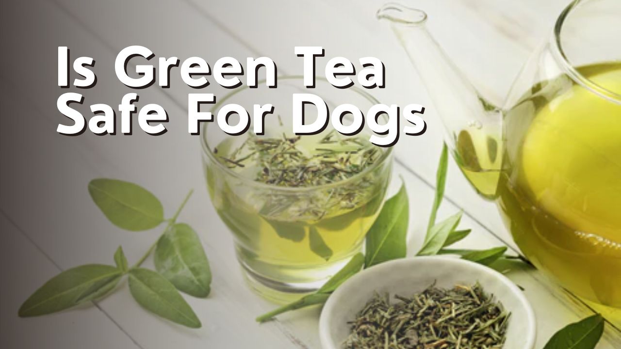 Is Green Tea Safe For Dogs