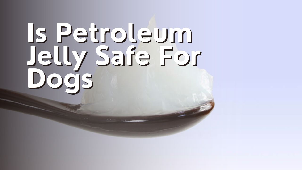 Is Petroleum Jelly Safe For Dogs