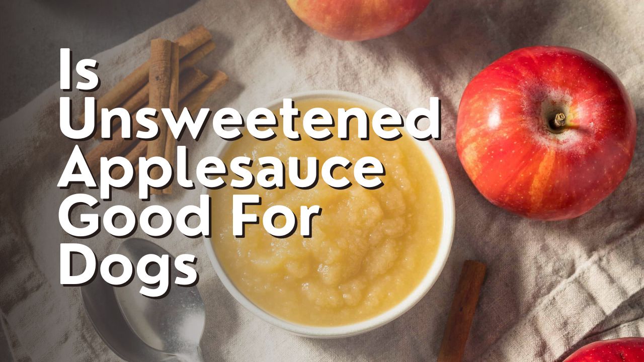 Is Unsweetened Applesauce Good For Dogs