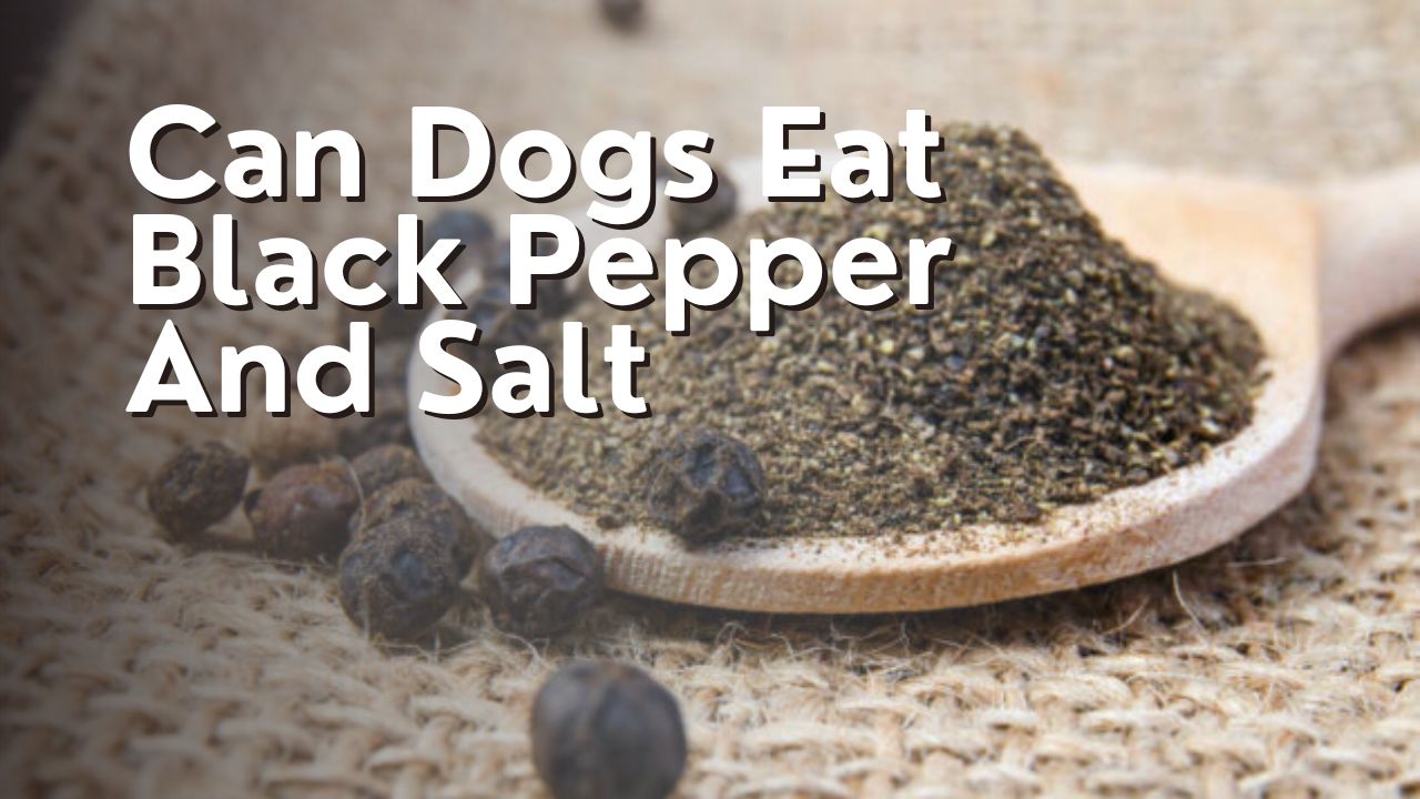 Can Dogs Eat Black Pepper And Salt