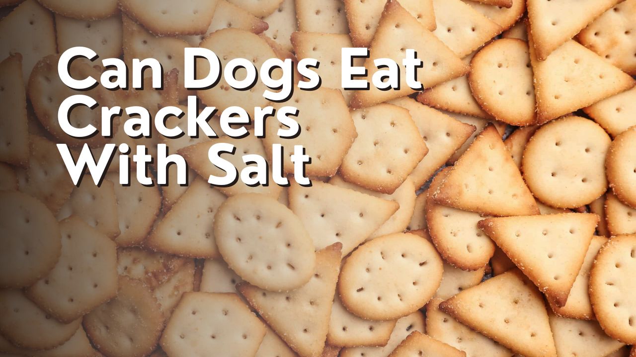 Can Dogs Eat Crackers With Salt