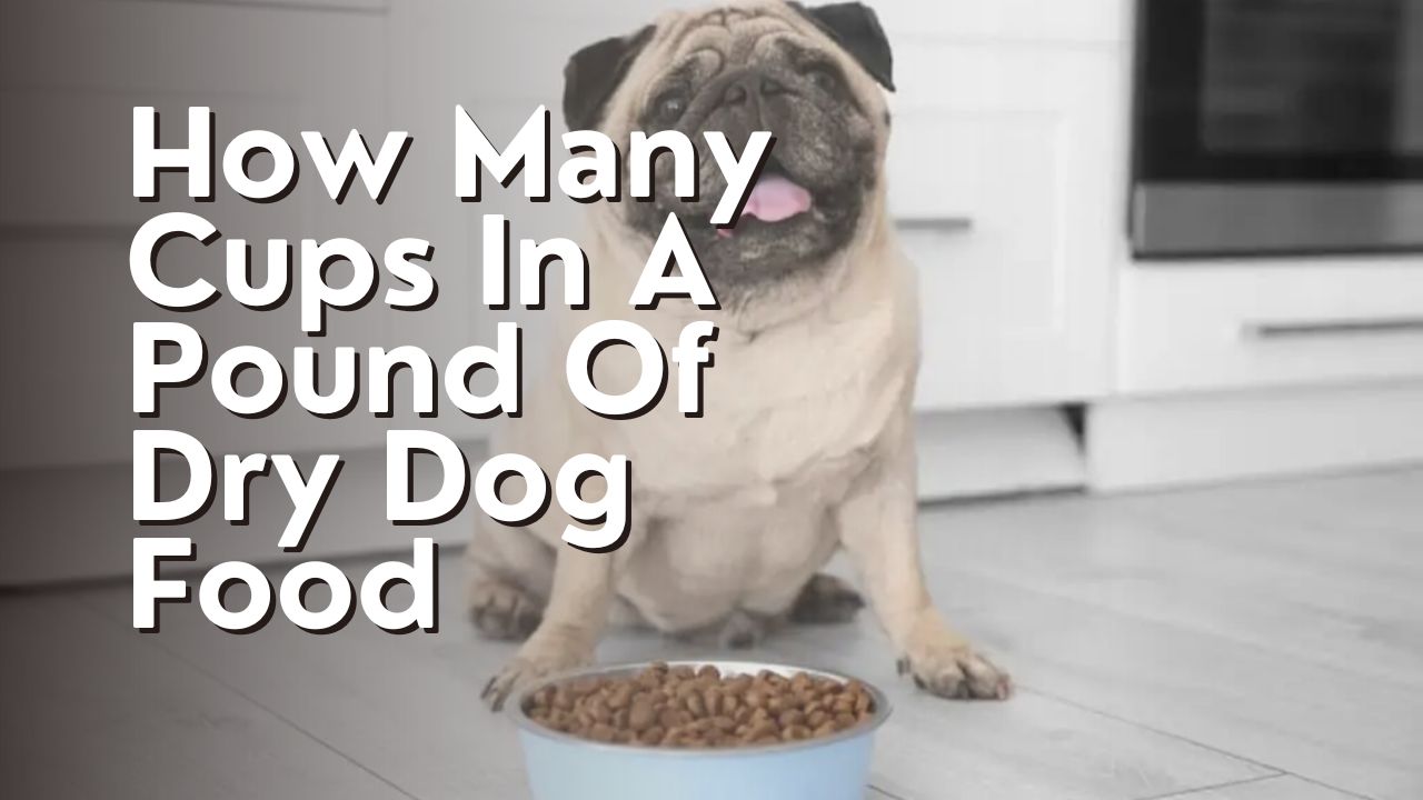 How Many Cups In A Pound Of Dry Dog Food